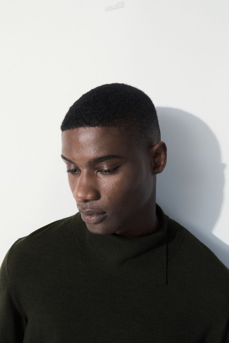 Dark Green COS The Merino Wool Roll-Neck Jumper Sweaters & Cardigans | 371249-VQL