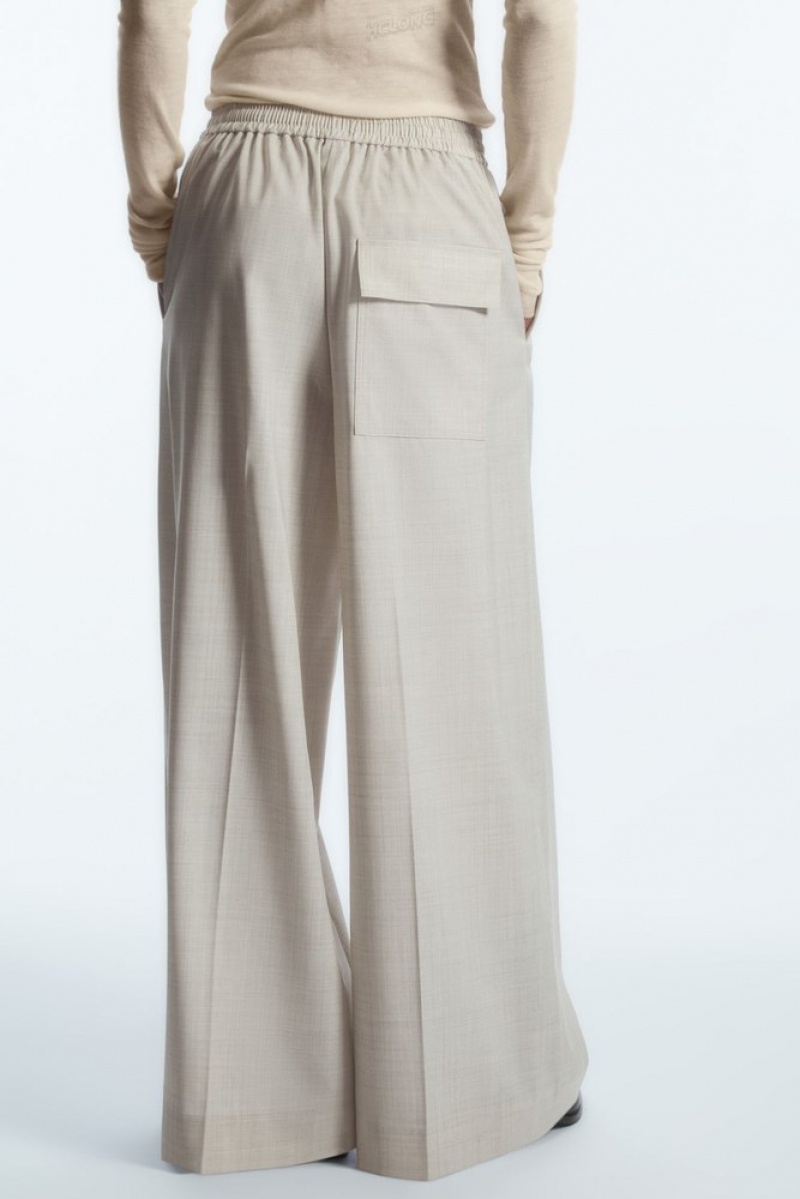 Light Beige COS Voluminous Wide-Leg Wool Pants Pants | 706518-CDJ