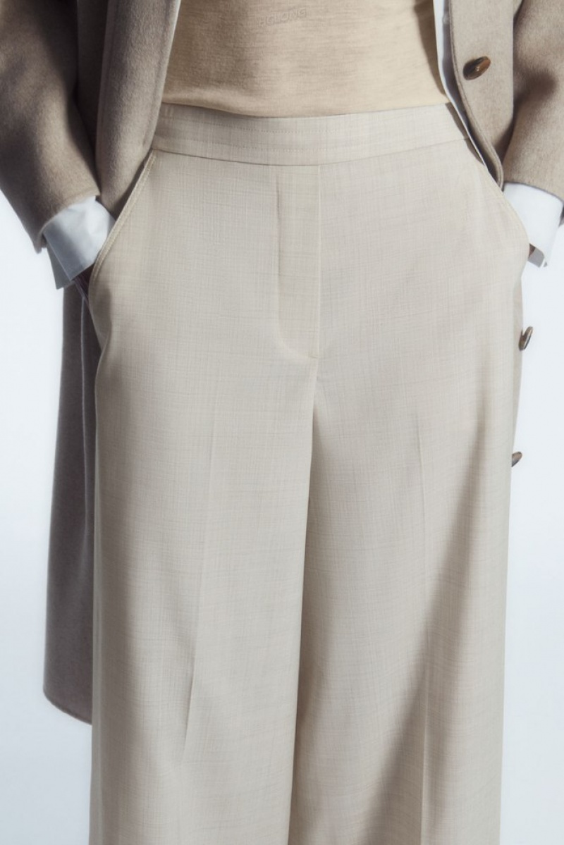 Light Beige COS Voluminous Wide-Leg Wool Pants Pants | 706518-CDJ