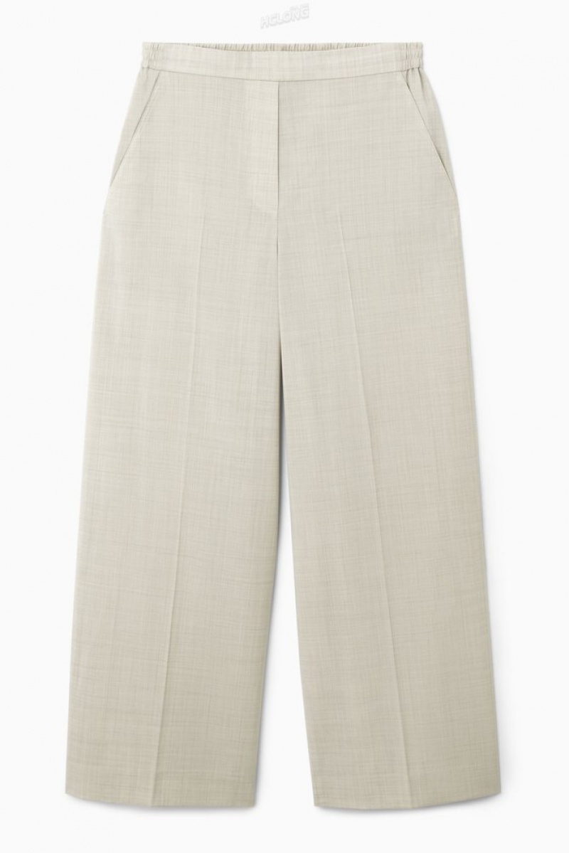 Light Beige COS Voluminous Wide-Leg Wool Pants Pants | 706518-CDJ