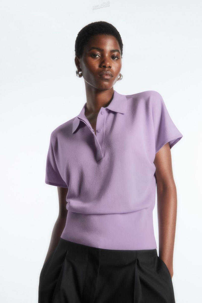 Lilac COS Knitted Polo Shirt Tops | 018624-TQJ