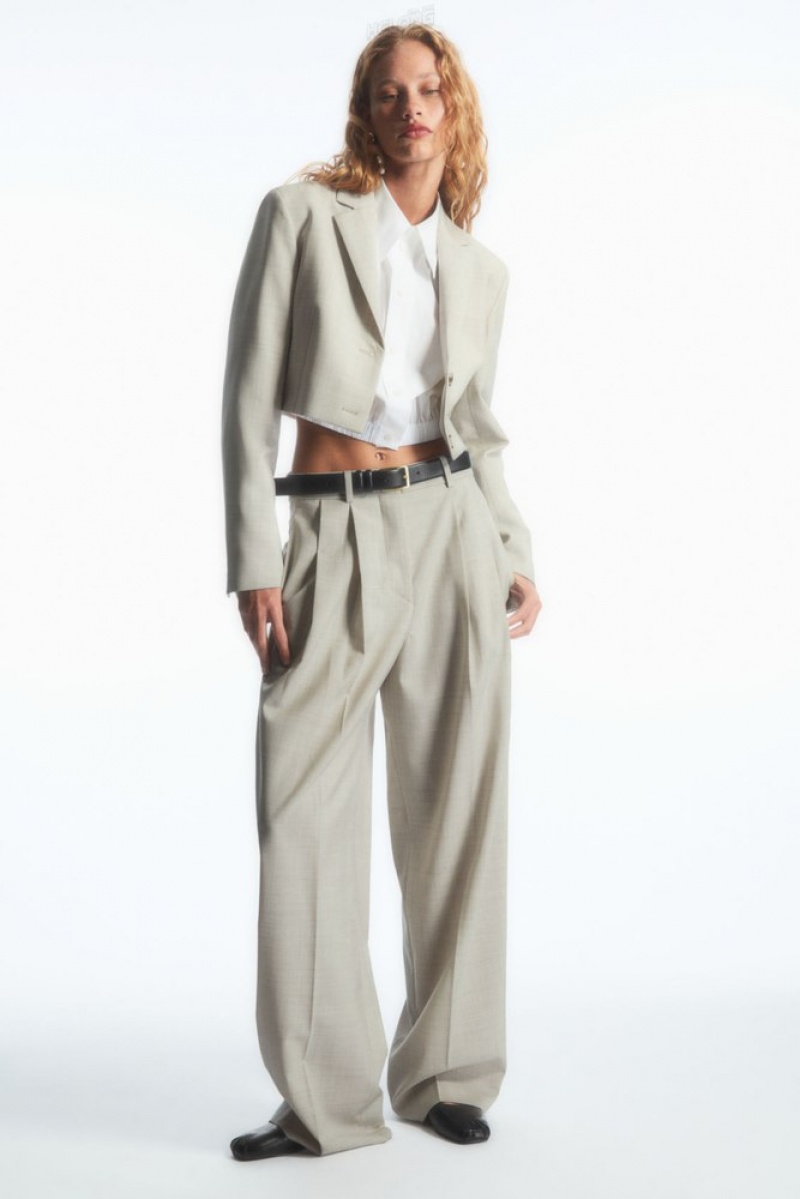 Navy COS Wide-Leg Tailored Wool Pants Pants | 392650-HLZ