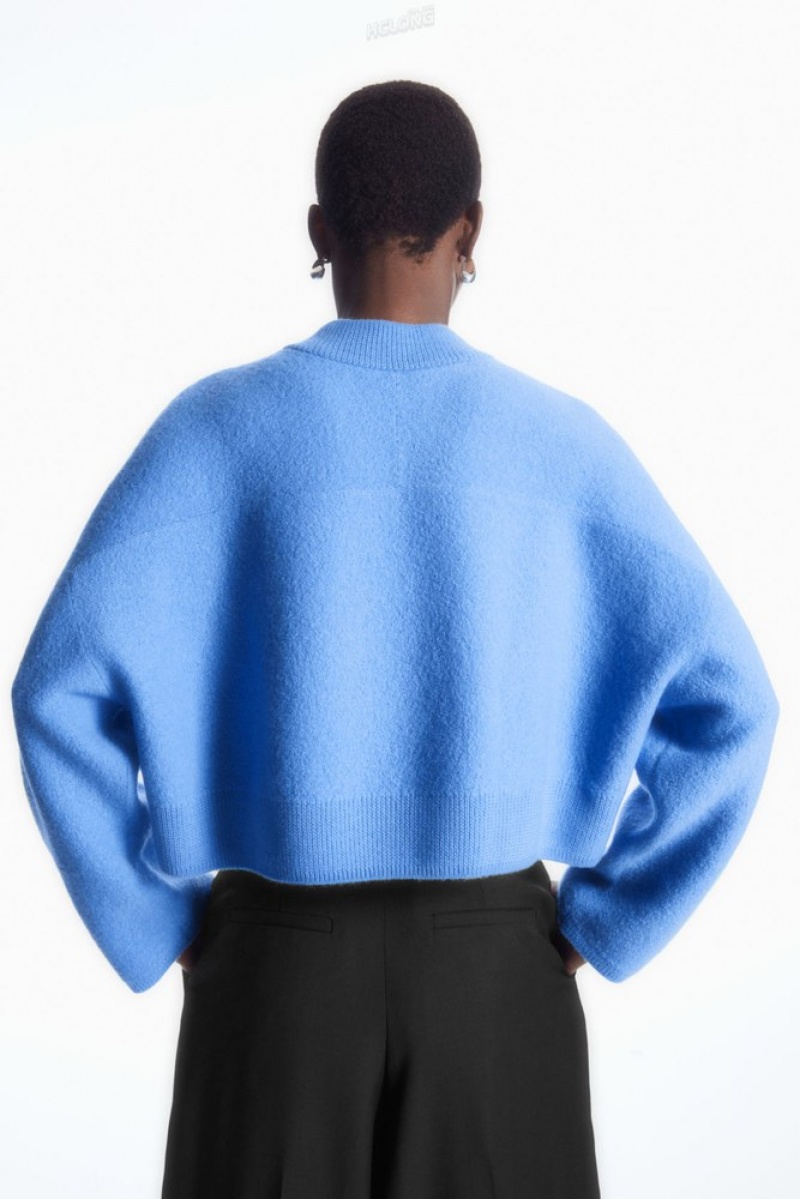 Sky Blue COS Cropped V-Neck Wool Sweater Sweaters & Cardigans | 613052-WNB